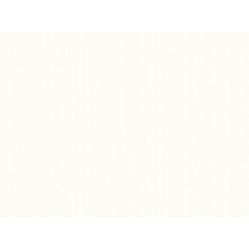 Стільниця W1000 ST76 Білий Преміум 4100x600x38 мм. Egger